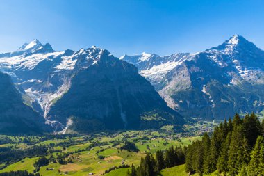 Schreckhorn, Fiescherwand, Eiger 'ın panorama manzarası. Yazın Grindelwald' dan. Önce Bernese Oberland, İsviçre.