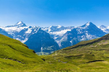 Schreckhorn, Fiescherwand, Eiger, İsviçre 'nin Grindelwald yakınlarındaki ünlü İsviçre Alpleri Panorama Manzarası