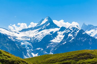 Schreckhorn, Fiescherwand Panorama Manzarası. Grindelwald, İsviçre yakınlarındaki ünlü İsviçre Alpleri.