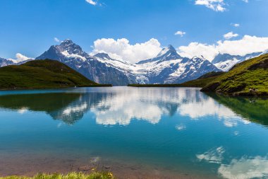 Bachalpsee 'nin panorama manzarası ve İsviçre' nin Bernese Oberland kentindeki Schreckhorn, Wetterhorn ve buzul alpleri de dahil olmak üzere kar örtüsü zirveleri..
