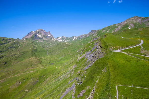 Grindelwald 'dan Bernese Oberland' daki İsviçre Alpleri 'nin Panorama manzarası Yazın ilk olarak Switzwerland.