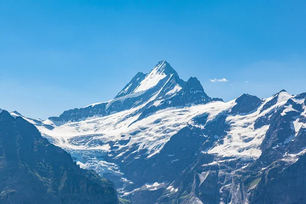 Εκπληκτική Πανοραμική Θέα Του Schreckhorn Πάνω Από Grindelwald Μια Ηλιόλουστη — Φωτογραφία Αρχείου