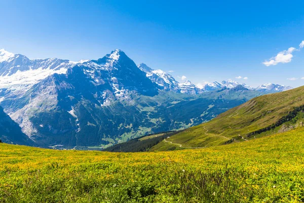 Πανόραμα Άποψη Του Eiger Monch Και Άλλες Κορυφές Των Ελβετικών — Φωτογραφία Αρχείου