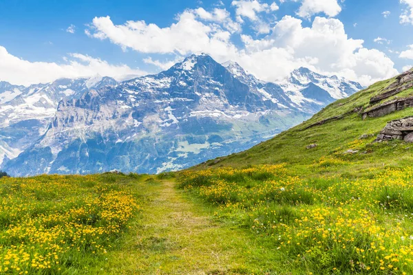 Utsikt Över Den Berömda Eiger Norra Sidan Vandringsleden Bernese Oberland — Stockfoto