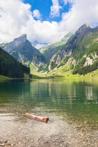 Herrlicher Blick Auf Den Seealpsee Und Das Alpsteinmassiv Sommer Kanton — Stockfoto