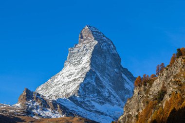 Zermatt Vadisi 'nden İsviçre Alpleri' nin ünlü Matterhorn zirvesinin göz kamaştırıcı manzarası güneşli bir sonbahar gününde altın ağaçlar ve çimenler ön planda, Valais, İsviçre