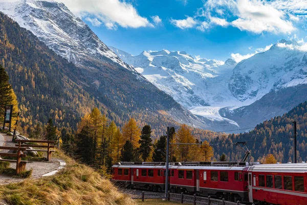 Приголомшливий Вид Червоний Ретійський Поїзд Їде Під Льодовиком Мортерач Восени Стокове Зображення