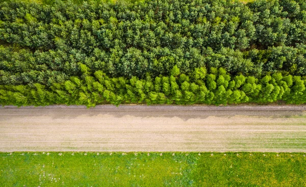 Aerial view of a road through the field — Stock Photo, Image