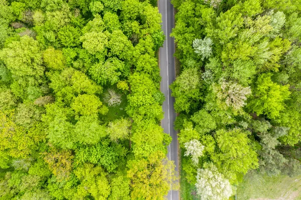 Luchtfoto van lange weg snijden door het bos — Stockfoto