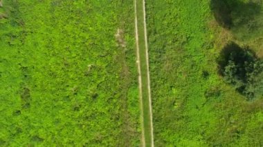 Yol ve bir çiftlik ile Yaz kırsal peyzaj. Havadan Görünüm