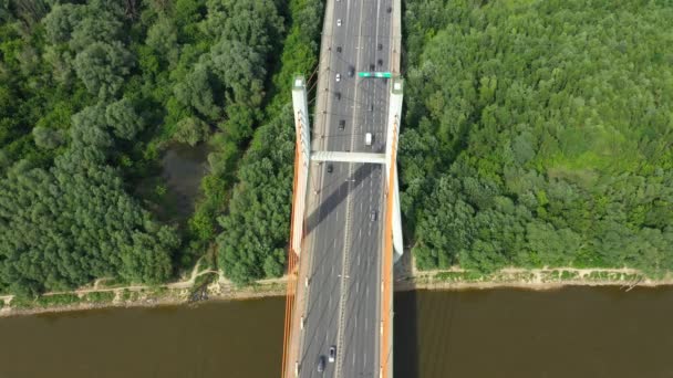 上から見た街の眺めで湾に架かる海橋の上の車の交通。航空写真 — ストック動画