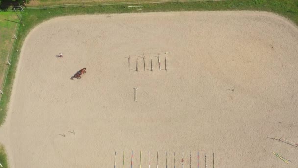 View from above, aerial video shooting, training sand field, playground, riders, jockeys ride horses, perform various exercises with horses, next to barriers. summer, outdoors — Stock Video