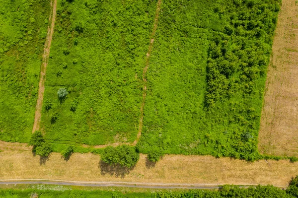 Vista aérea superior de uma estrada rural através de uma floresta de abeto e um gre — Fotografia de Stock