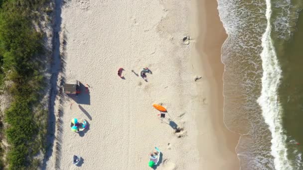 Östersjön Coast Beach hel Aerial Drone topp Visa 4K UHD video. Människor på stranden. Utsikt från luften — Stockvideo