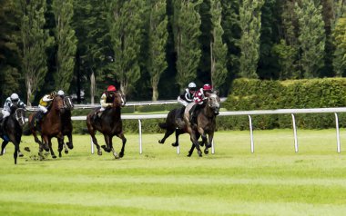Binicilik spor jokeyler rekabet atlar akan su