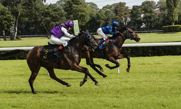 Corrida de cavalos equitação esporte jockeys competição cavalos água corrente — Fotografia de Stock