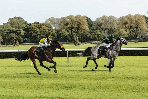 Pferderennen Reiten Sport Jockeys Wettbewerb Pferde fließendes Wasser — Stockfoto