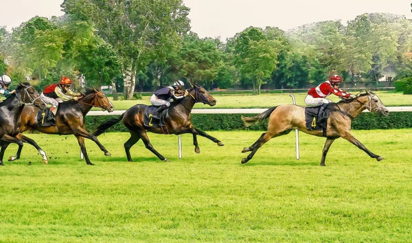 Corrida de cavalos equitação esporte jockeys competição cavalos água corrente — Fotografia de Stock