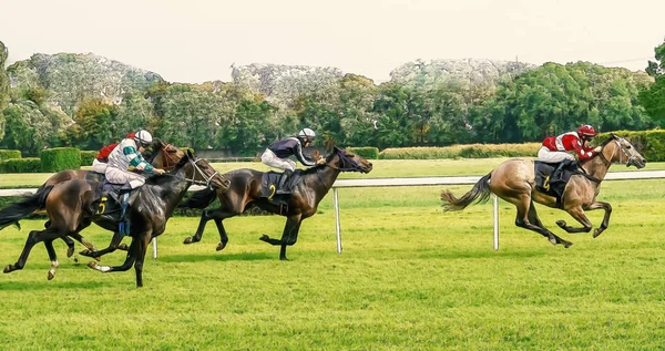 Corrida de cavalos equitação esporte jockeys competição cavalos água corrente — Fotografia de Stock