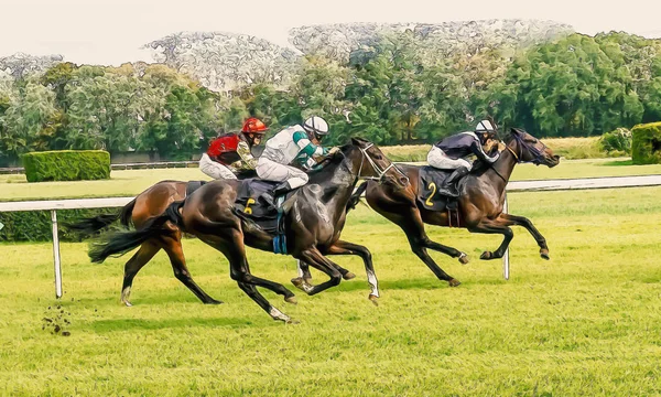 Corrida de cavalos equitação esporte jockeys competição cavalos água corrente — Fotografia de Stock