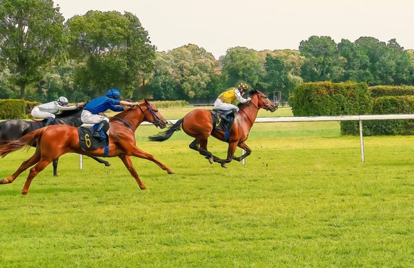 Pferderennen Reiten Sport Jockeys Wettbewerb Pferde fließendes Wasser — Stockfoto