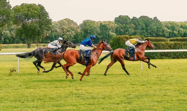 Corrida de cavalos equitação esporte jockeys competição cavalos água corrente — Fotografia de Stock