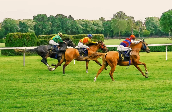 Pferderennen Reiten Sport Jockeys Wettbewerb Pferde fließendes Wasser — Stockfoto