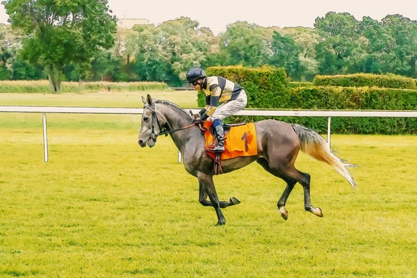 Pferderennen Reiten Sport Jockeys Wettbewerb Pferde fließendes Wasser — Stockfoto