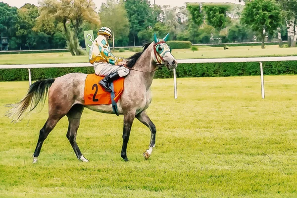 Pferderennen Reiten Sport Jockeys Wettbewerb Pferde fließendes Wasser — Stockfoto