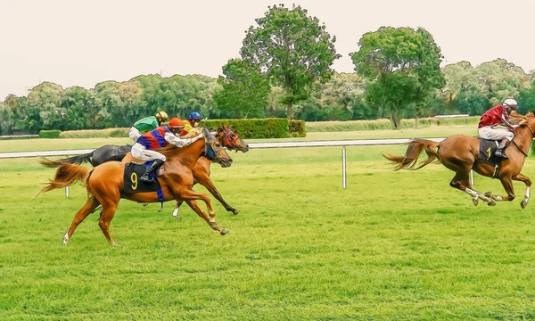 Corsa di cavalli equitazione sport fantini concorrenza cavalli in esecuzione acqua — Foto Stock