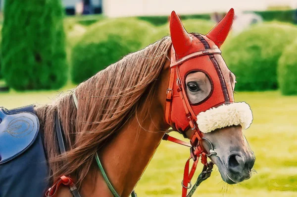 Pferderennen Reiten Sport Jockeys Wettbewerb Pferde fließendes Wasser — Stockfoto