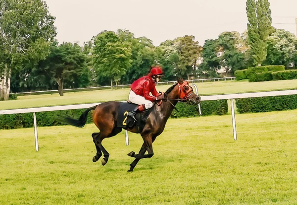 Hästkapplöpning ridning sport jockeys konkurrens hästar rinnande vatten — Stockfoto