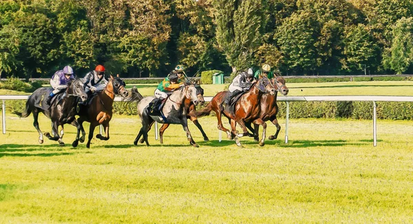 Hästkapplöpning ridning sport jockeys konkurrens hästar rinnande vatten — Stockfoto