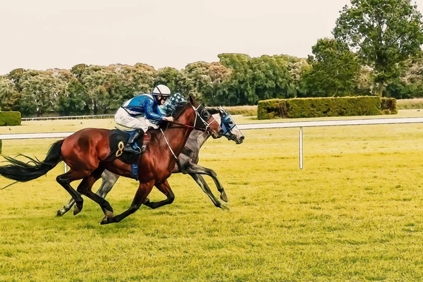 Koń wyścig jazda konna Sport dżokejów koni bieżącą wodą — Zdjęcie stockowe