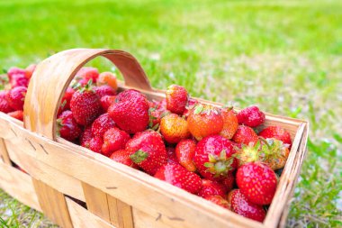 Tahta bir kutuda taze çilekler. Ahşap bir arka planda. Üst görünüm
