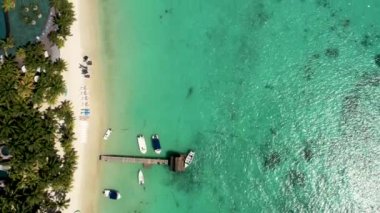 Mauritius 'ta lüks tropikal plajlar. Palmiyeleri ve mavi okyanusu olan bir sahil. Hava görüntüsü. Muhteşem Trou aux Bishes, Mauritius