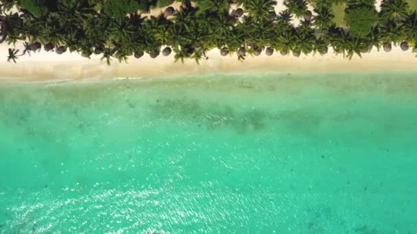 Luxus trópusi strand Mauritius. Tengerpart tenyérrel és kék óceánnal. Légi felvétel. Csodálatos Trou aux Biches, Mauritius — Stock videók