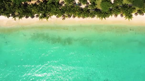 Luxus trópusi strand Mauritius. Tengerpart tenyérrel és kék óceánnal. Légi felvétel. Csodálatos Trou aux Biches, Mauritius — Stock videók