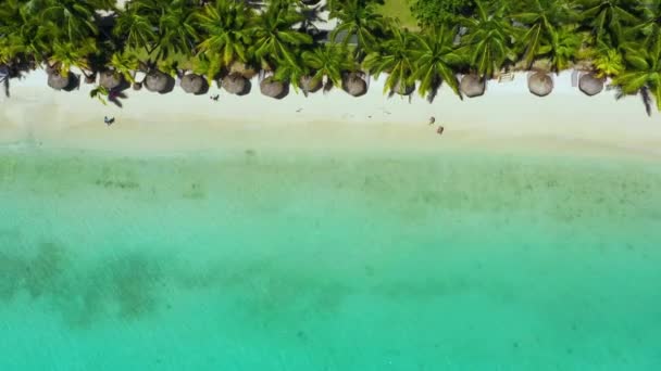 Rıhtım kıyısı boyunca sahil ve mercan resifi ve palmiye ağaçları Mauritius, Afrika, Mauritius adasının kıyısında rıhtım. — Stok video