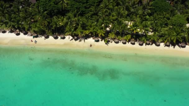 Plajă de-a lungul malului mării și recifuri de corali și palmieri, Mauritius, Africa, Pier lângă plaja insulei Mauritius — Videoclip de stoc