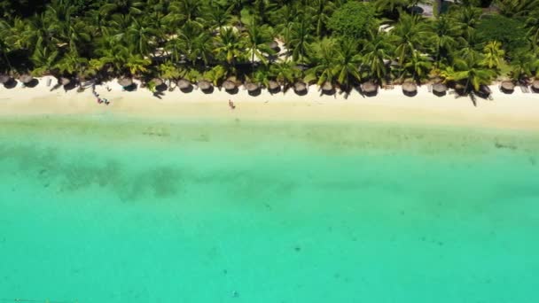 Strand a vízpart mentén és korallzátony és pálmafák, Mauritius, Afrika, móló közelében a strand Mauritius sziget — Stock videók