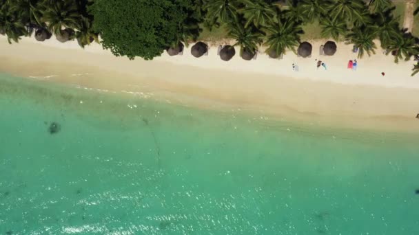 Trópusi tengerpart Mauritiuson. Homokos strand tenyérrel és kék átlátszó óceánnal. Légi felvétel — Stock videók