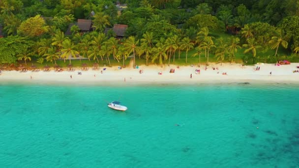 Palmeras en la playa de arena y el océano turquesa desde arriba. hermosa laguna de playa. Situado en Martinica . — Vídeo de stock