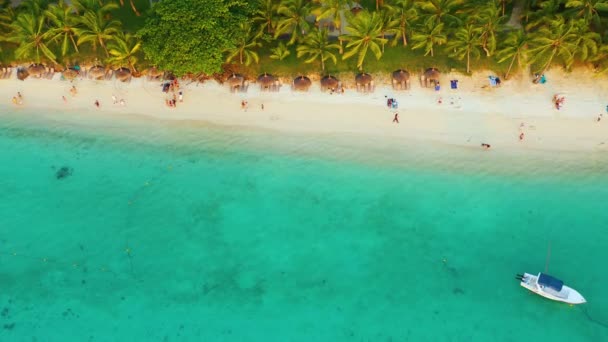 Palmeiras na praia de areia e mar azul-turquesa de cima. bela lagoa de praia. Localizado na Martinica . — Vídeo de Stock