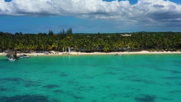 Plage tropicale à Maurice. Plage de sable avec palmiers et océan bleu transparent. Vue aérienne — Video