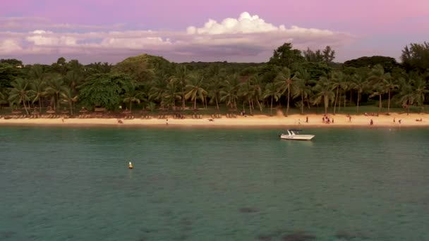 空中无人机在阳光灿烂的白天鸣枪.近距离飞越棕榈树、红树林和美丽的海滩泻湖。位于马提尼克岛. — 图库视频影像
