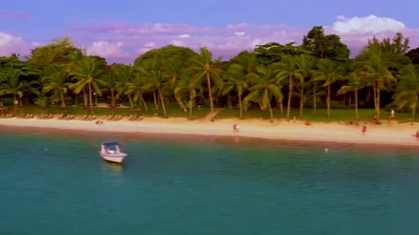 Luchtdrone schot in zonnige dag tijd. Close up vliegen over palmbomen mangrove bos en prachtige strand lagune. Gelegen in Martinique. — Stockvideo