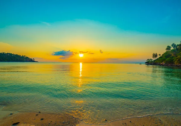 Kokospalmer Sandstrand Tropikerna Vid Solnedgången Thailand — Stockfoto