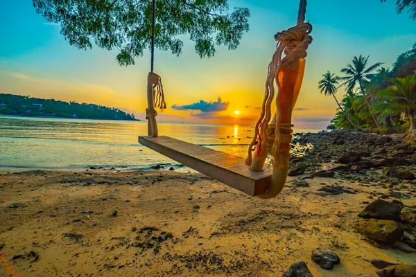 Vacker Solnedgång Över Stranden Med Kokospalm Och Hängande Woodden Swing — Stockfoto