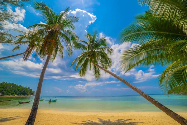 Vacker Tropisk Strand Sommar Natur Strand Blå Himmel Och Palmer — Stockfoto